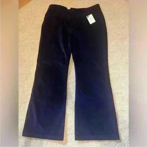 Velvet Flare Boot Cut Pant NEW Velour Velveteen Sapphire  Peruvian Connection - Picture 1 of 9